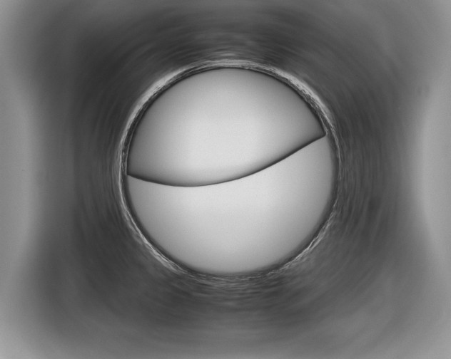 X0000116841333200912181107