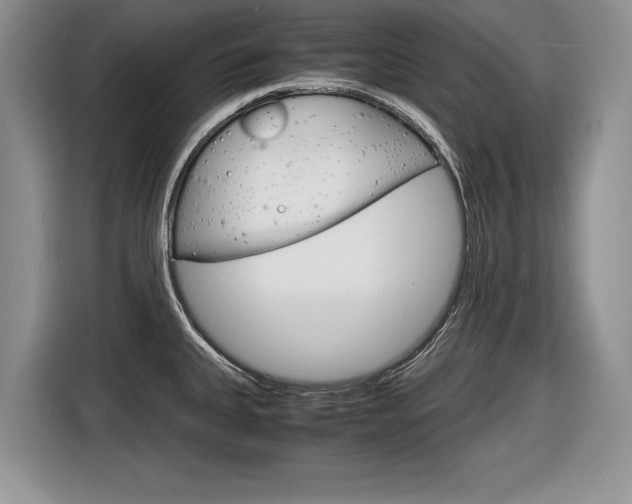 X0000116841335200912181107