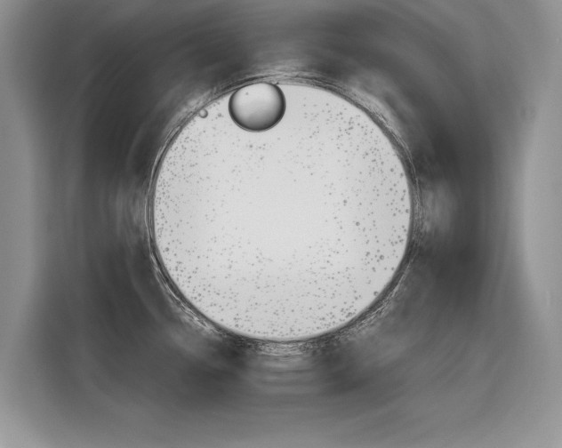 X0000116841338200912181107