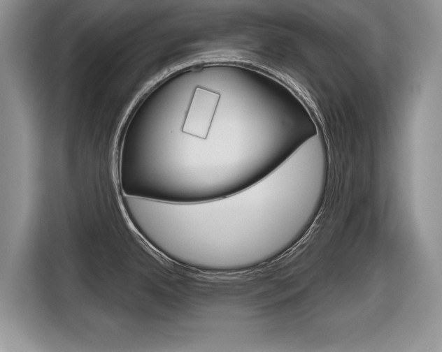 X0000116841342200912181107