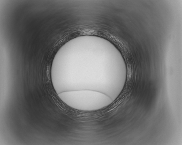 X0000116841346200912181106