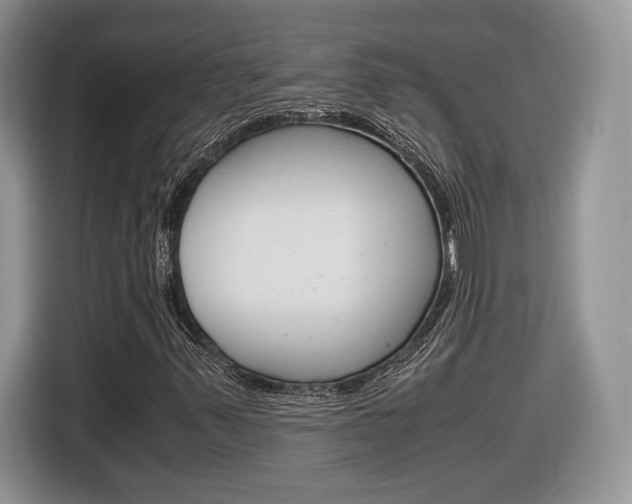 X0000116841347200912181106