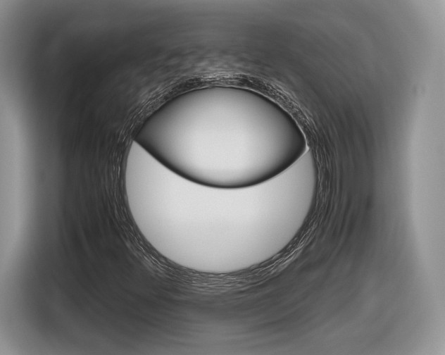 X0000116841348200912181106