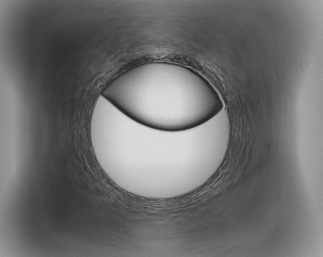 X0000116841349200912181106