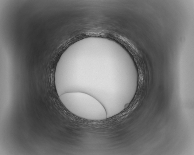 X0000116841350200912181106