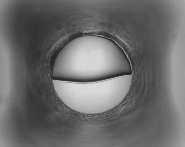 X0000116841351200912181106