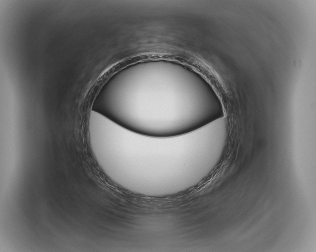 X0000116841352200912181106