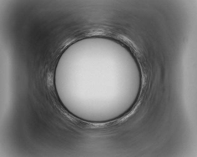 X0000116841353200912181106