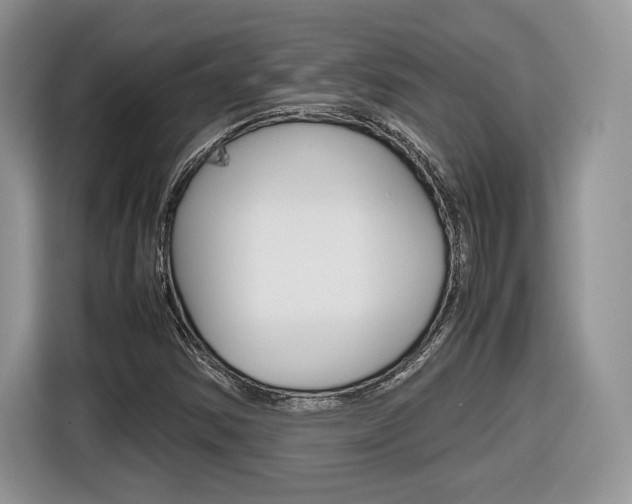 X0000116841354200912181106