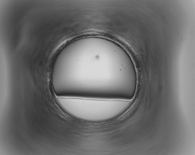 X0000116841355200912181106