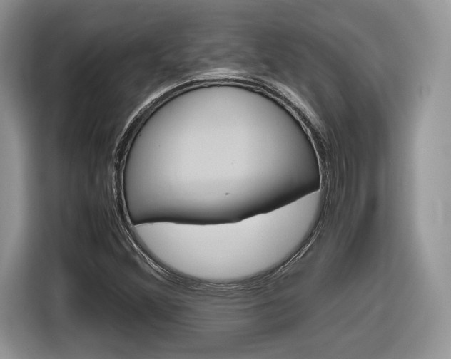 X0000116841356200912181106