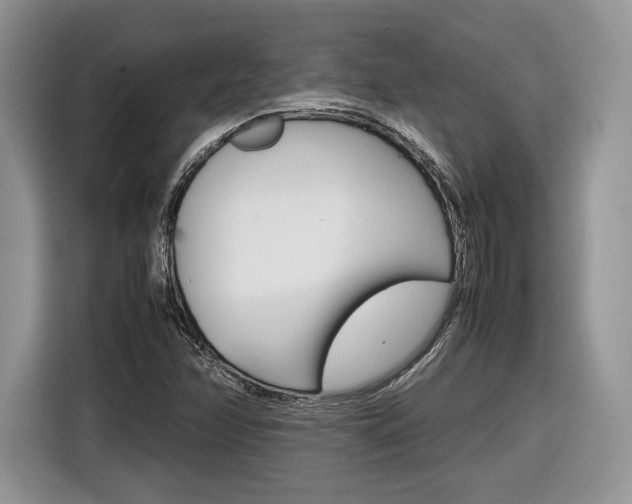 X0000116841358200912181106