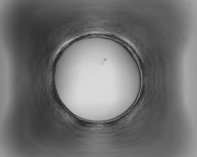 X0000116841359200912181106