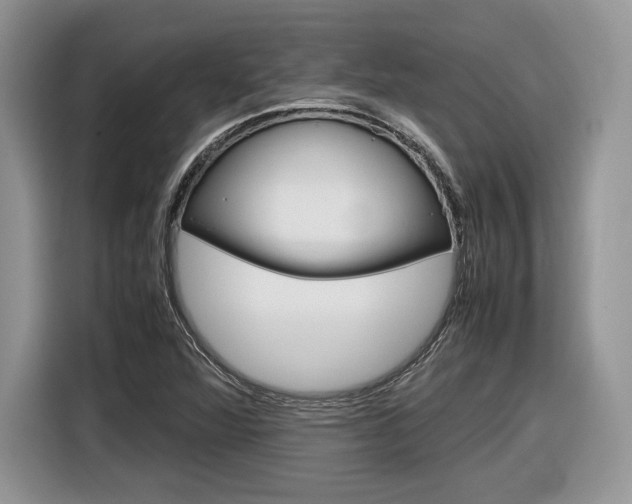 X0000116841360200912181106