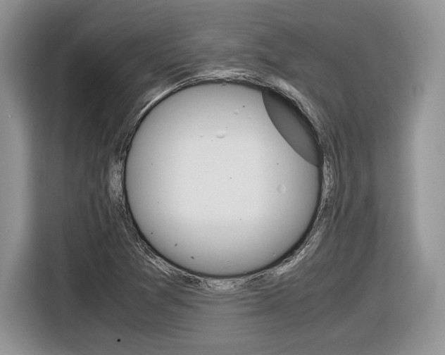 X0000116841361200912181106