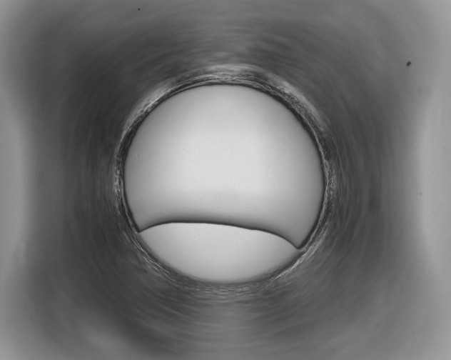 X0000116841362200912181106