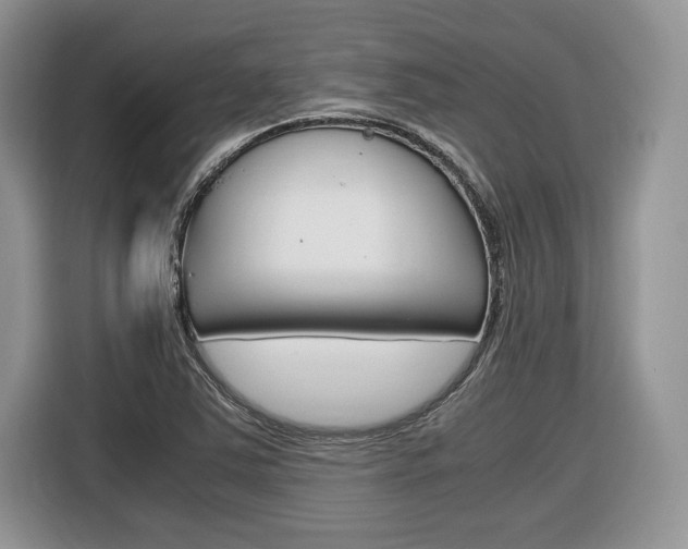 X0000116841363200912181106