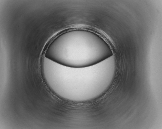 X0000116841364200912181106