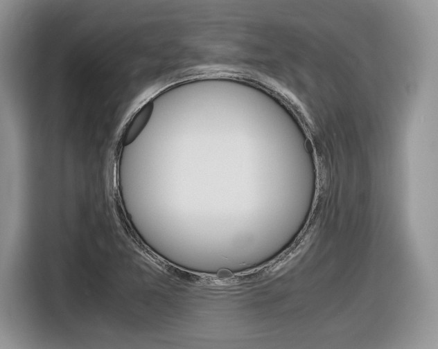 X0000116841365200912181106