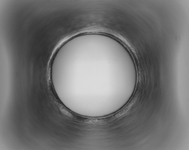 X0000116841366200912181106