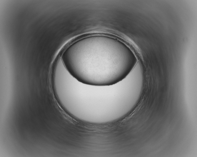 X0000116841368200912181106