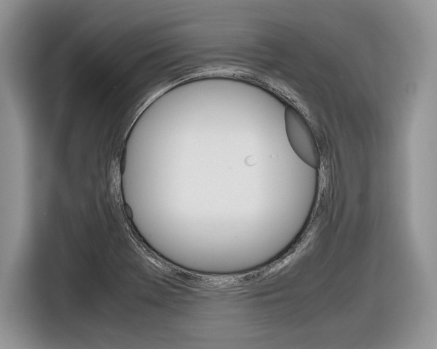 X0000116841369200912181106