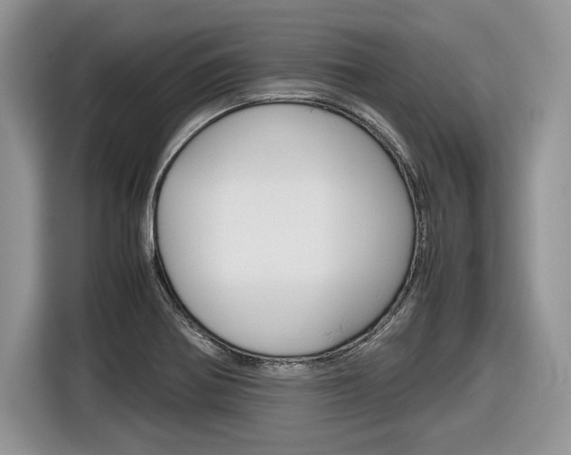 X0000116841370200912181106