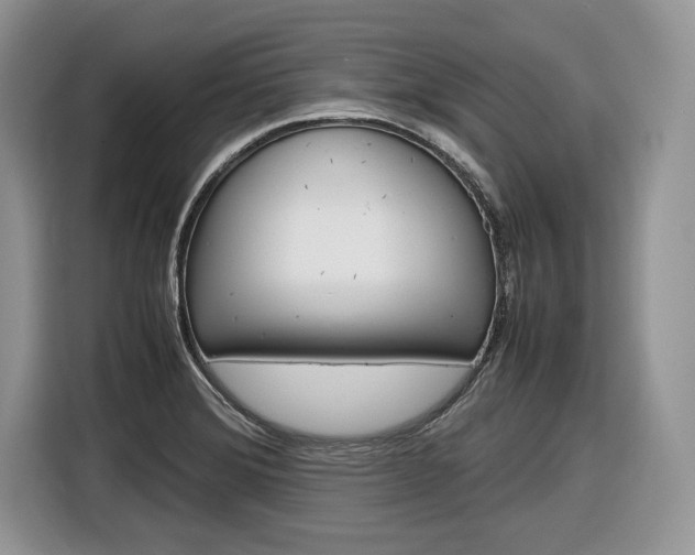 X0000116841372200912181106