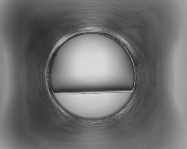 X0000116841373200912181106