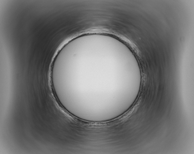 X0000116841374200912181106