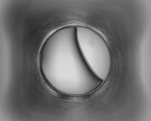 X0000116841375200912181106