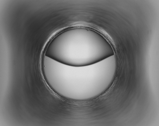 X0000116841376200912181106