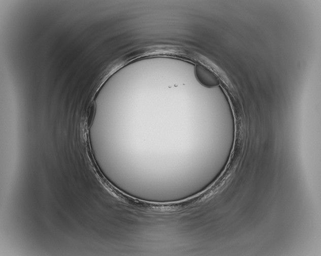 X0000116841377200912181106