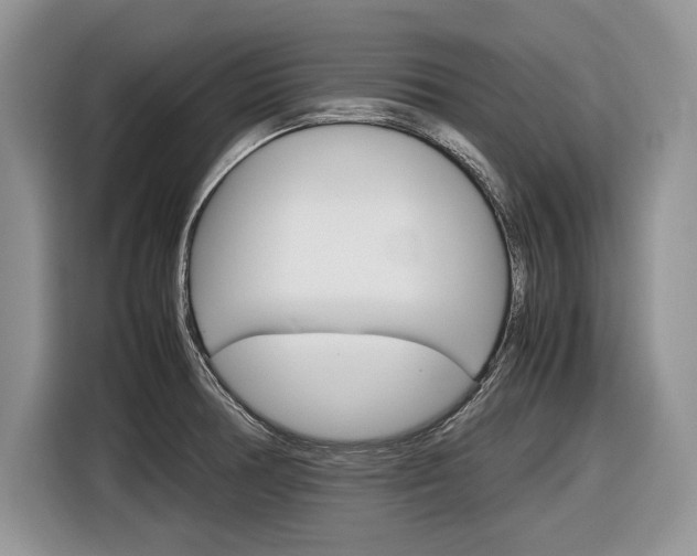 X0000116841378200912181106