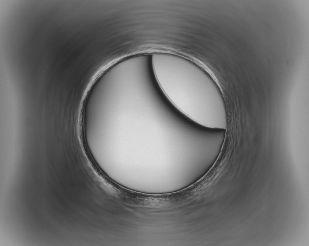 X0000116841379200912181106
