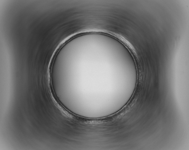 X0000116841380200912181106