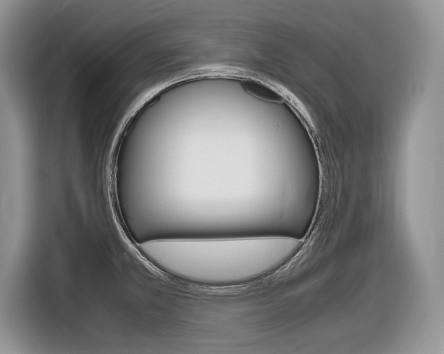 X0000116841381200912181106