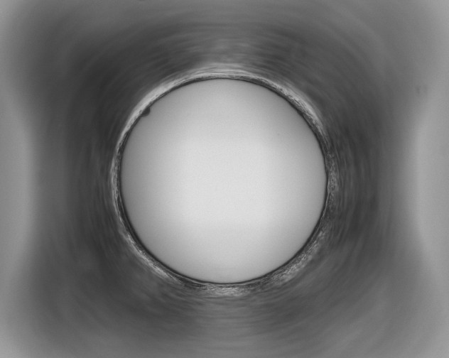 X0000116841382200912181106