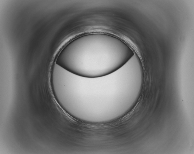 X0000116841384200912181106