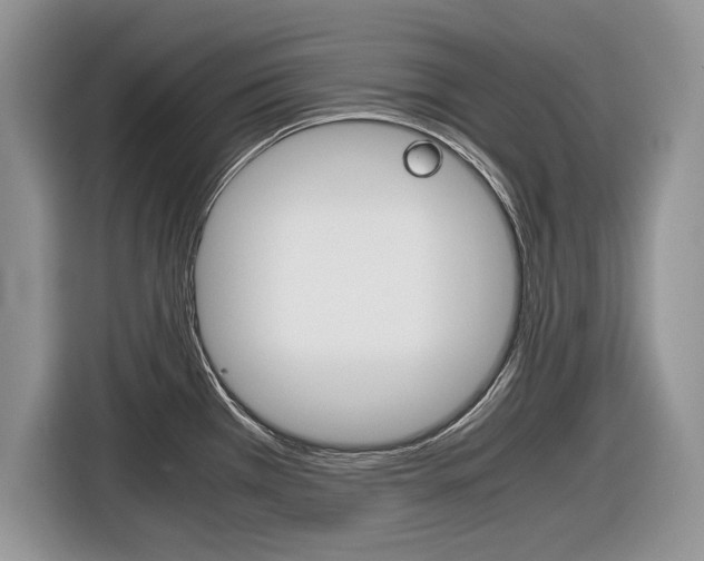 X0000116841385200912181106