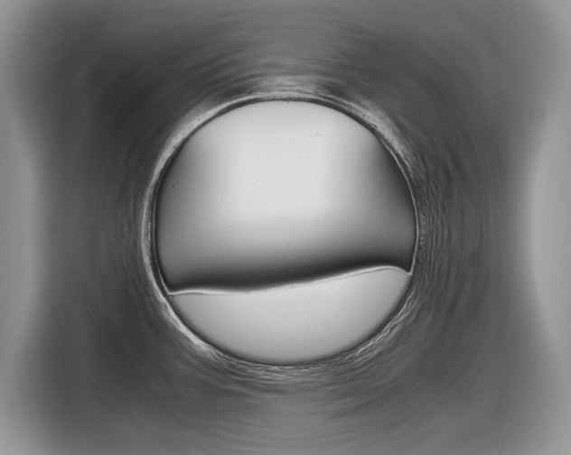X0000116841387200912181106