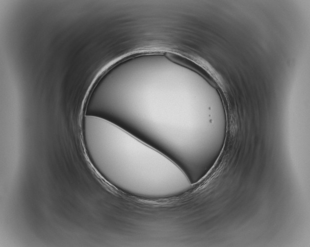 X0000116841388200912181105