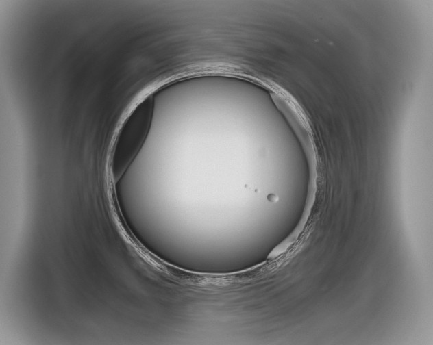 X0000116841389200912181105