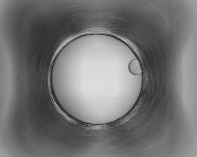 X0000116841390200912181105