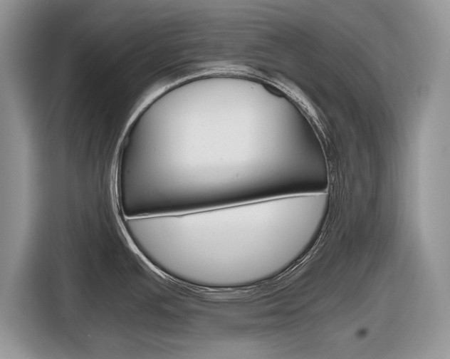 X0000116841391200912181105