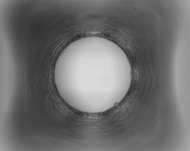 X0000116841393200912181105
