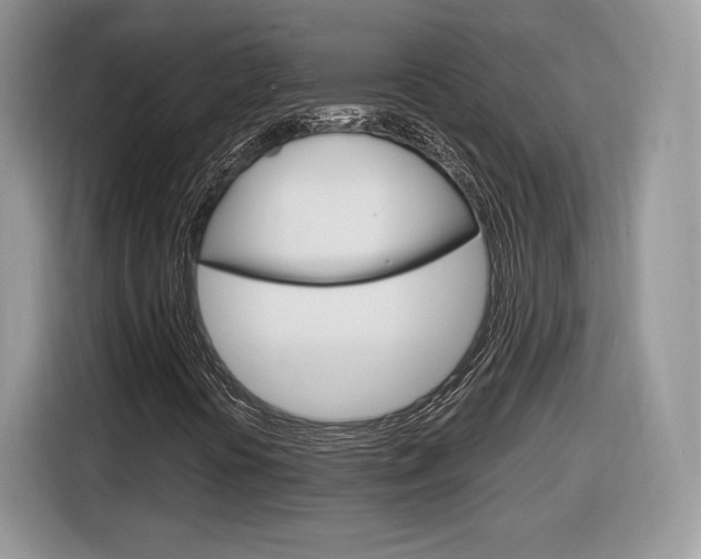 X0000116841394200912181105