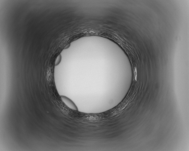X0000116841395200912181105