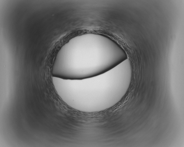 X0000116841398200912181105