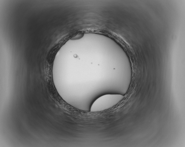 X0000116841399200912181105